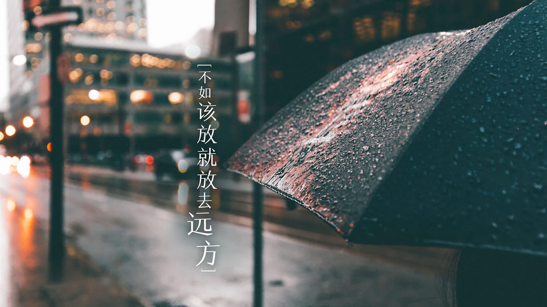 开云·体育官网-新星崛起：未来联盟之星的起步与突破，未来之星际联盟 小说