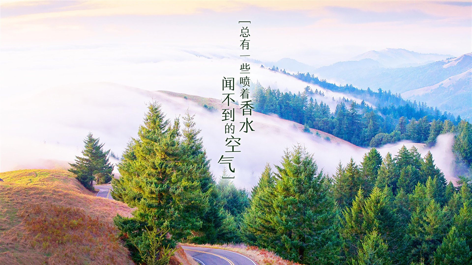 开云官方-特色山地自行车夜骑，感受不同的运动氛围，自行车夜景