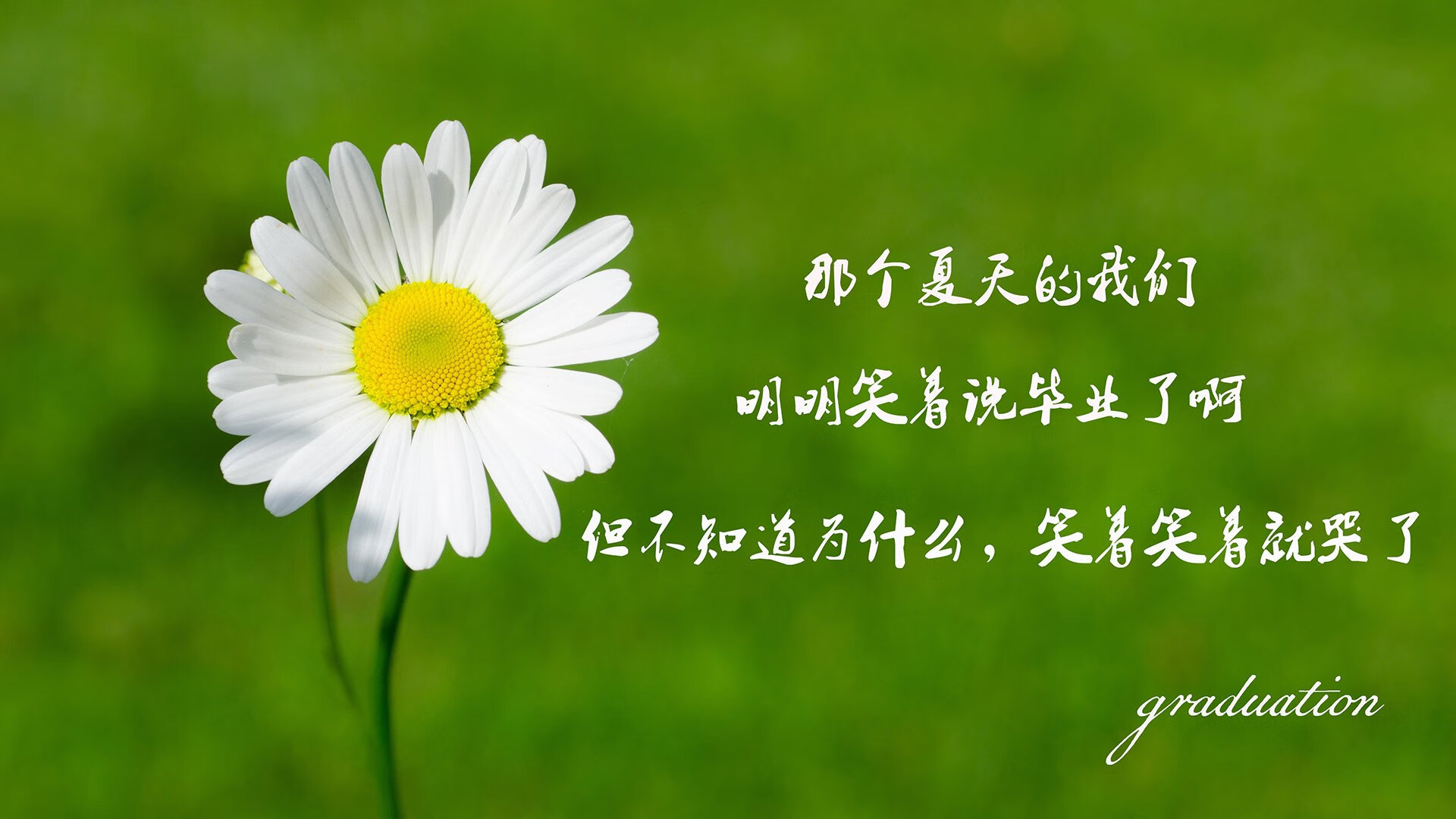 LPL季后赛门票销售火爆，lpl季后赛门票多少钱