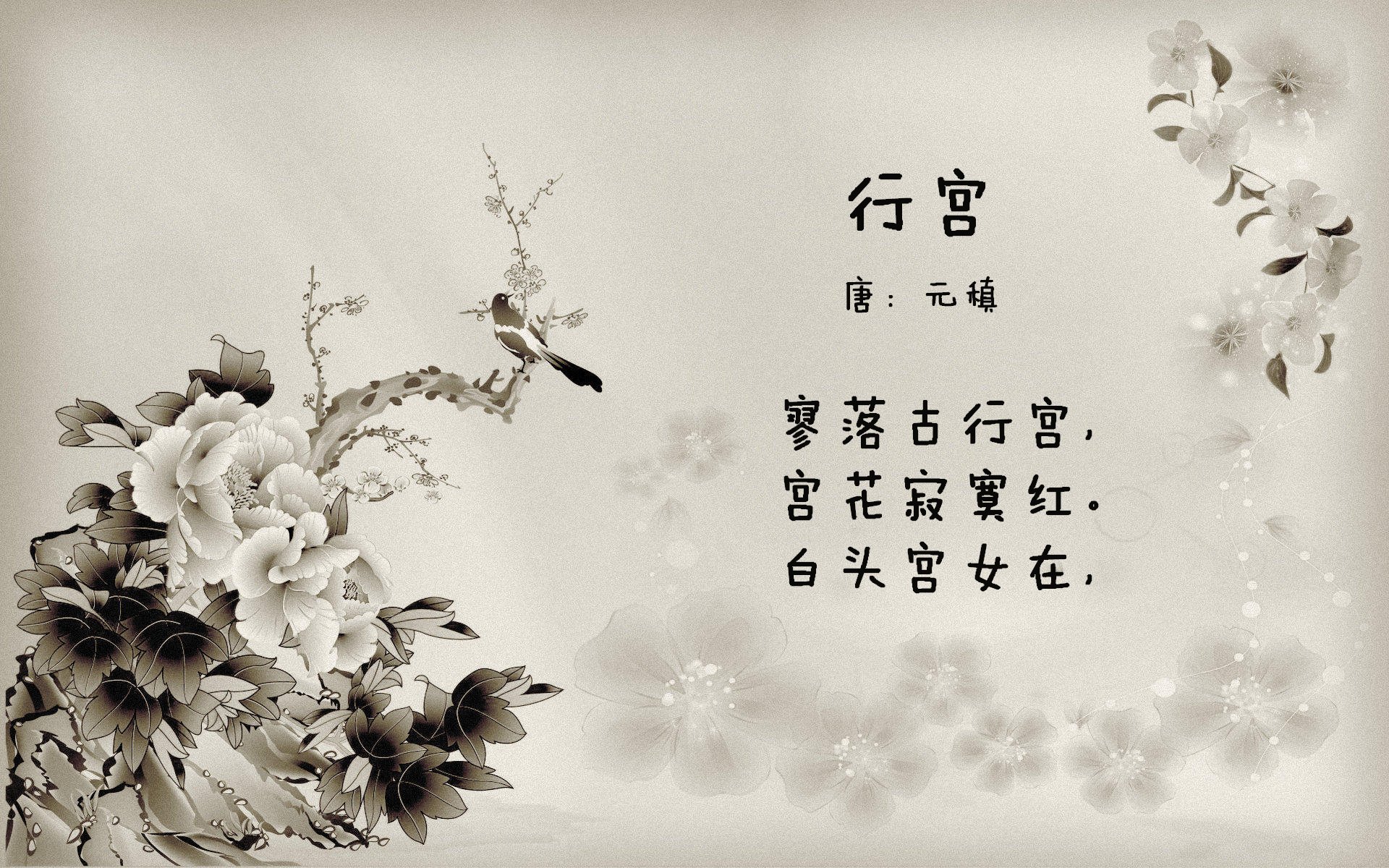 开云网页版登录入口-奥地利女足队奋勇争先，一路领先，奥地利足球运动员