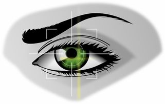 kaiyun官方网站-体育产业园区发展模式比较分析，体育文化产业园建设策划方案
