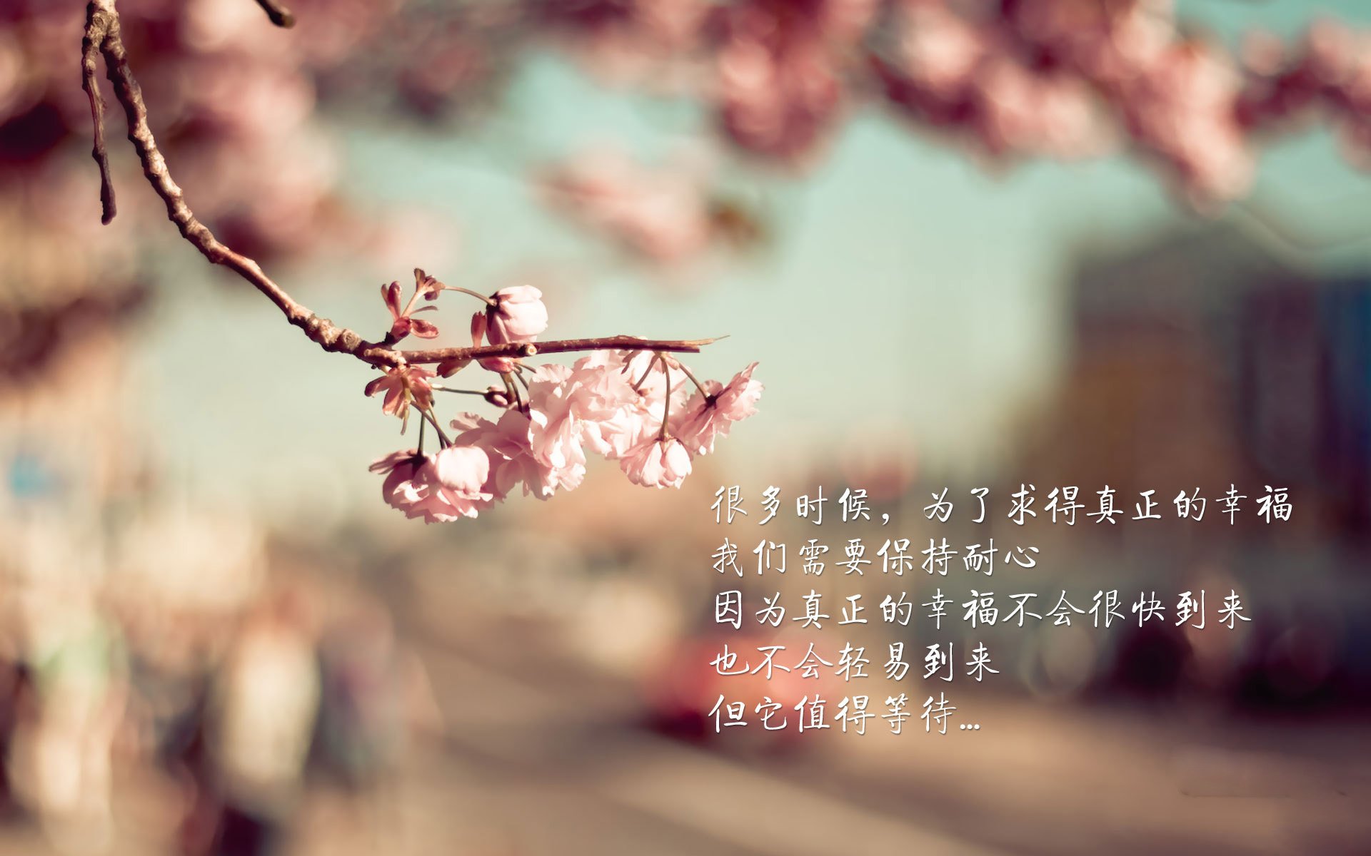篮球专项体能训练恢复技术研究与应用案例，篮球比赛体能训练