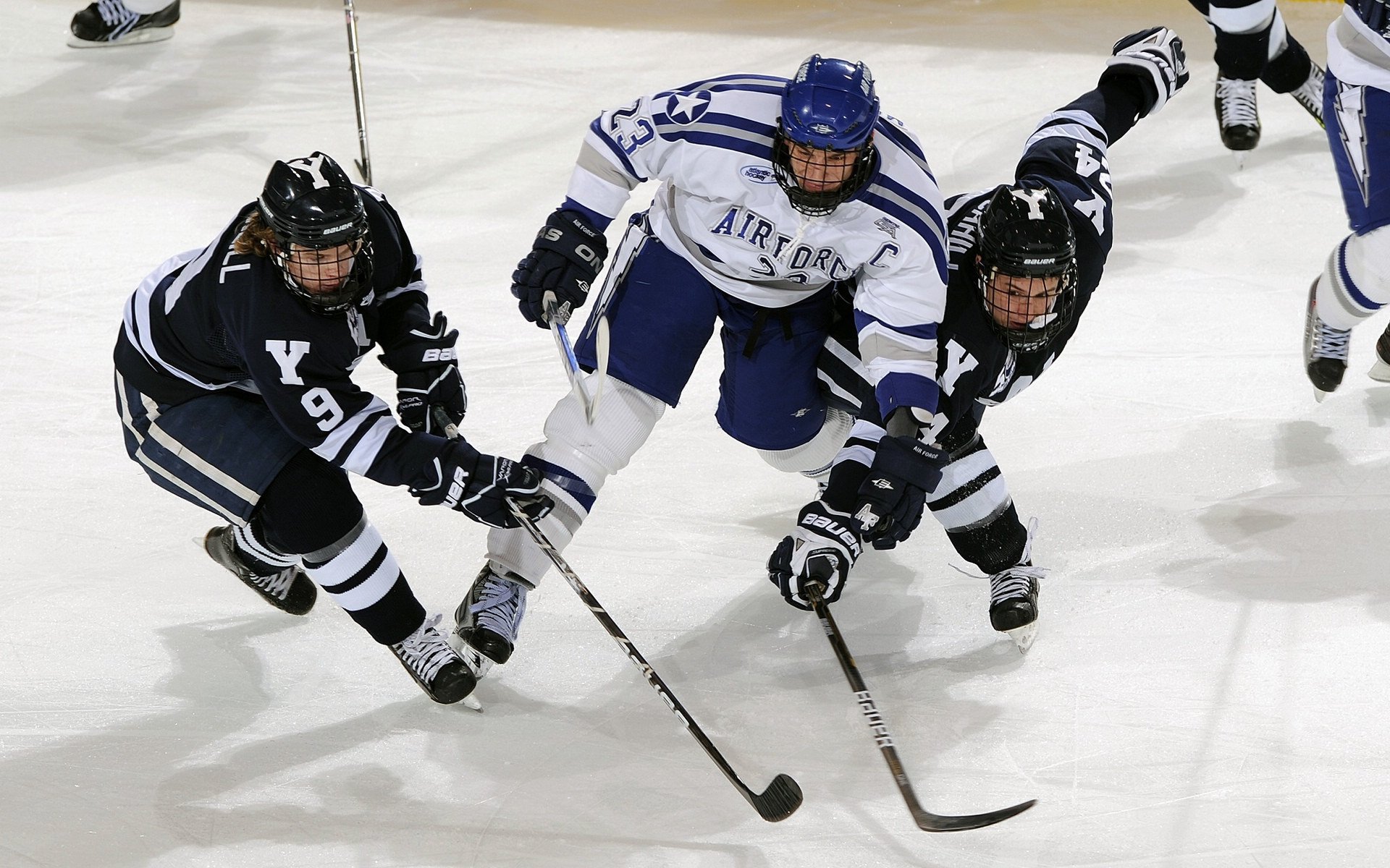 _国际冲浪比赛：海浪中的极限对抗_，冲浪比赛规则介绍